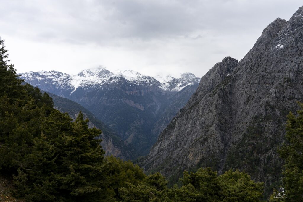 Dsc06844.jpg 2.me (large)