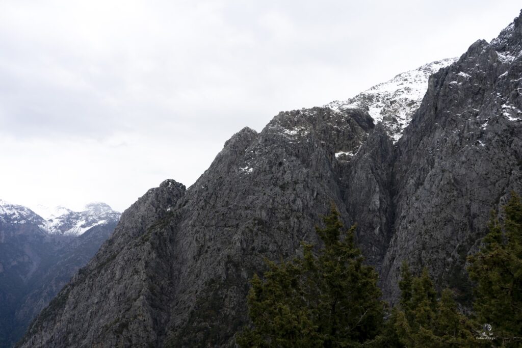 Dsc06847.jpg3.me (large)