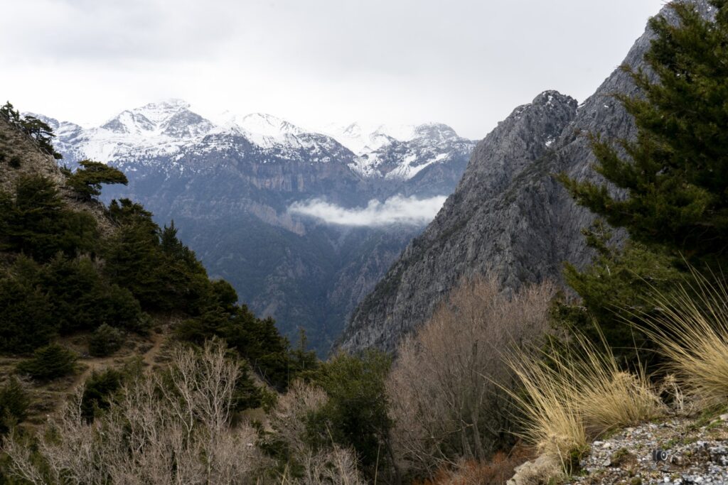 Dsc06855.jpg 1.me (large)