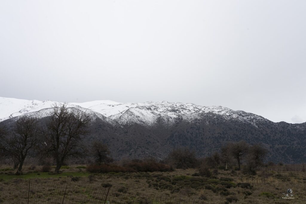 Dsc06860.jpg 8.me (large)