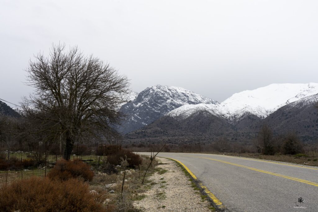 Dsc06865.jpg 10.me (large)