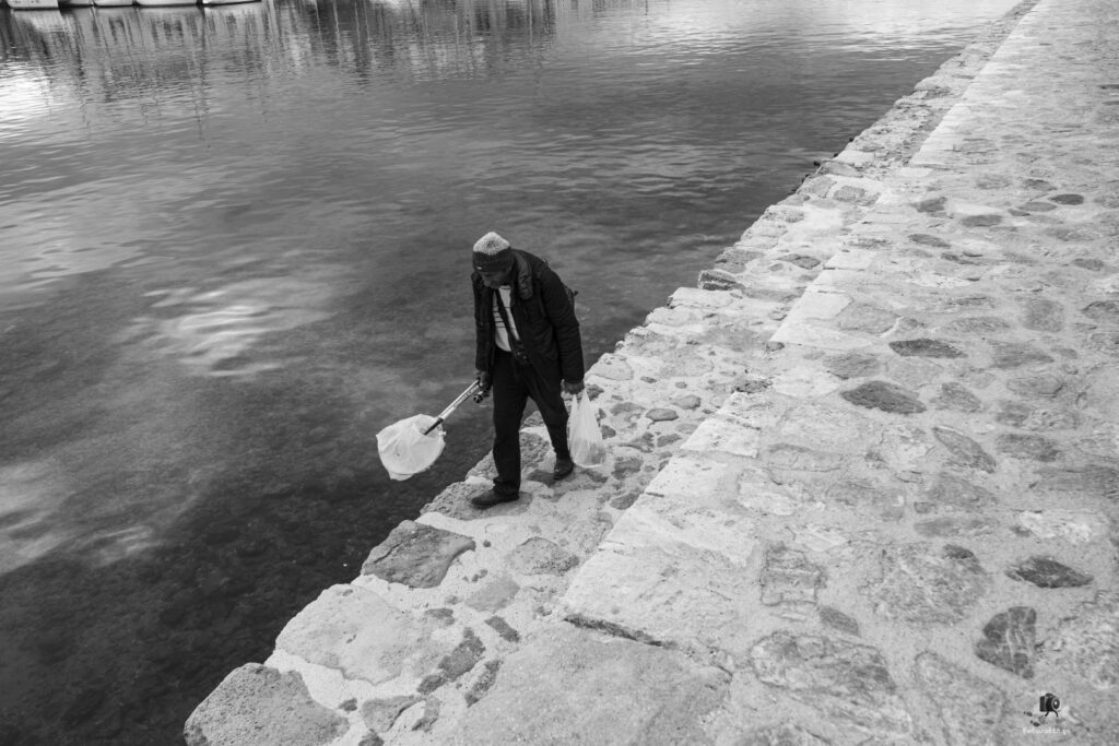 Dsc06721.jpg 5.me (large)