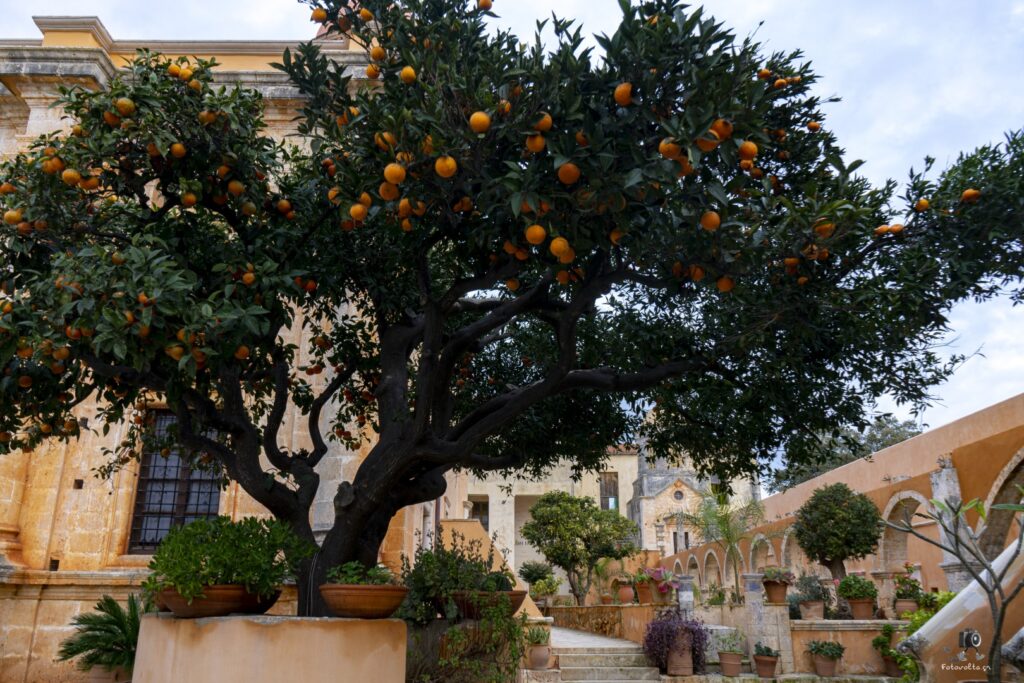 Dsc06784.jpg 12.me (large)