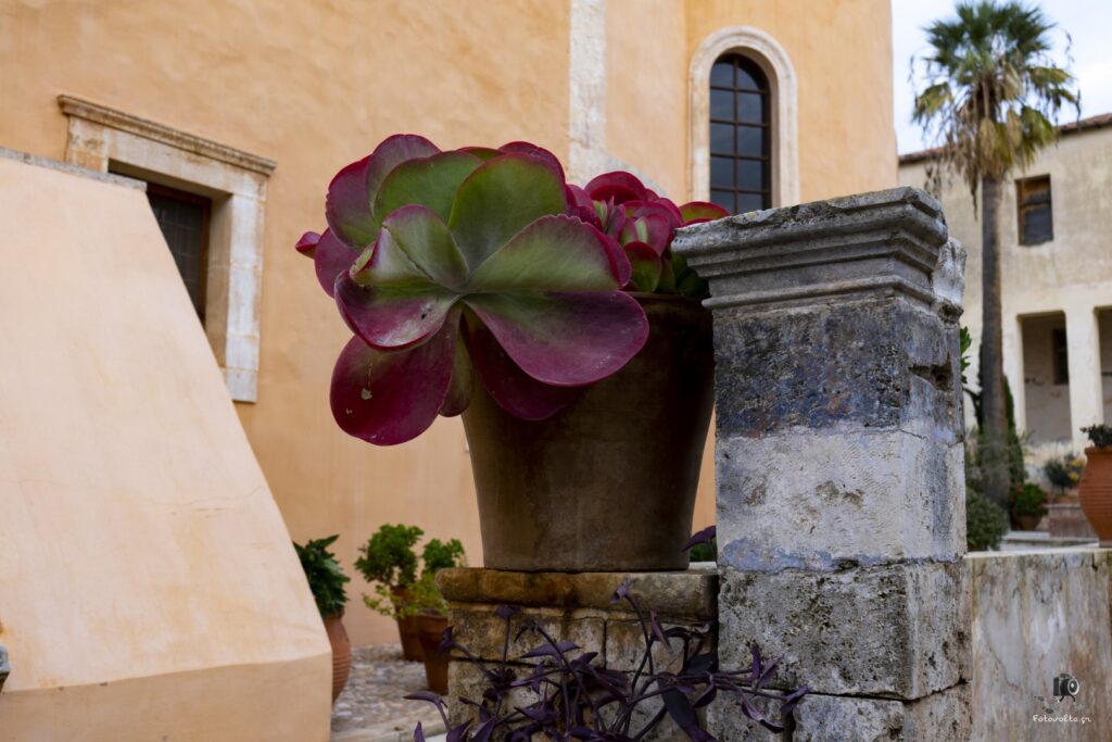 Dsc06788.jpg G9.me (large)