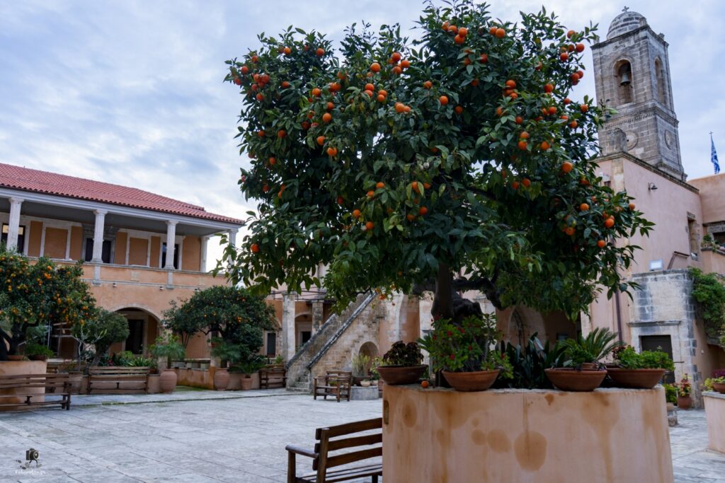 Dsc06810.jpg G17.me (large)