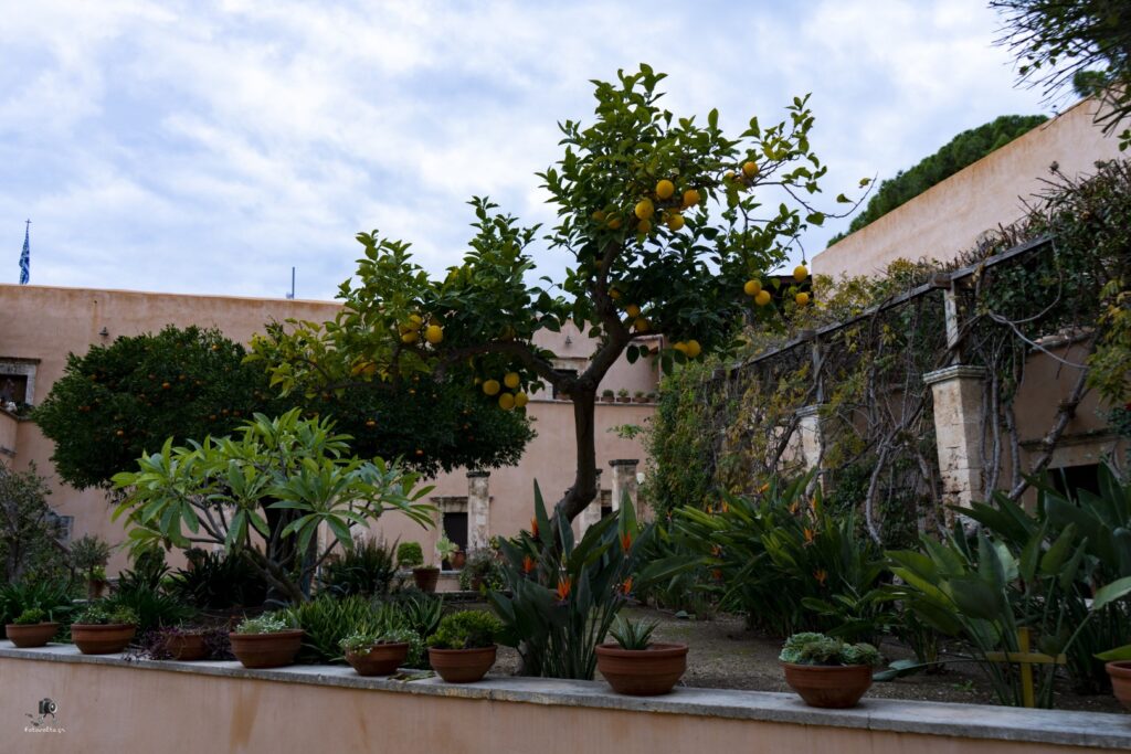 Dsc06811.jpg G17.me (large)