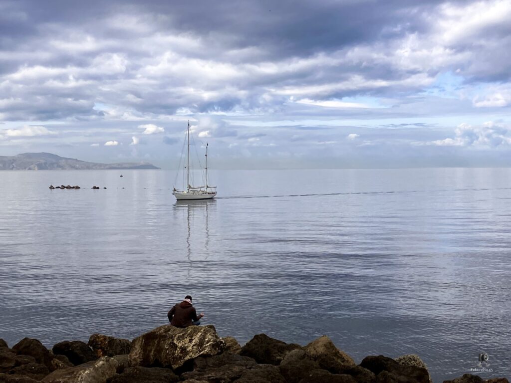 Img 2340.jpg 2.me (large)