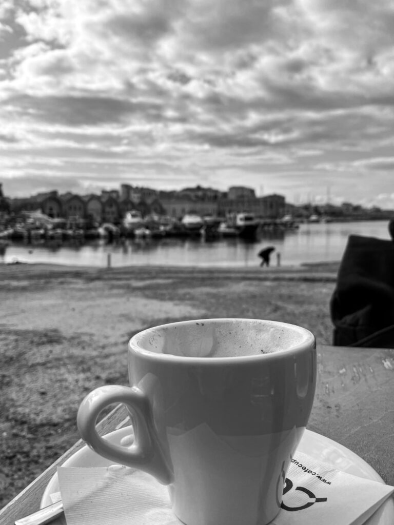 Img 2360.jpg 5 (large)