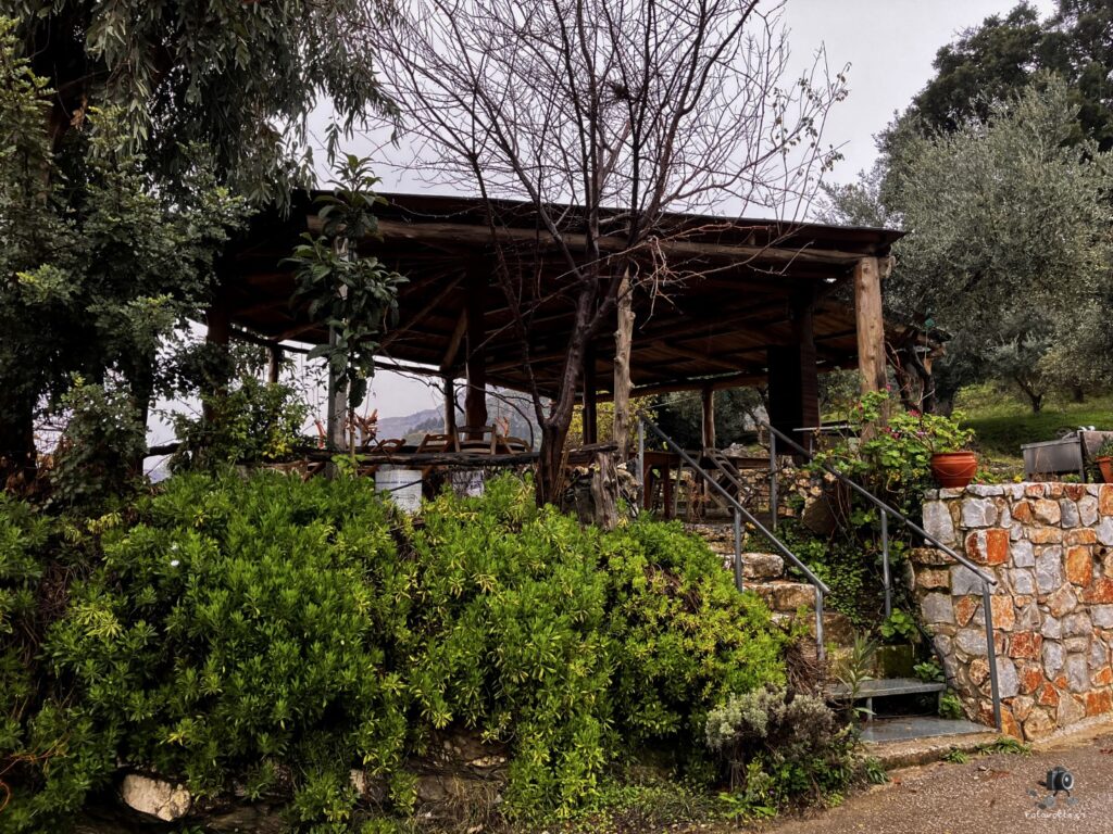 Img 2388.jpg 8.me (large)