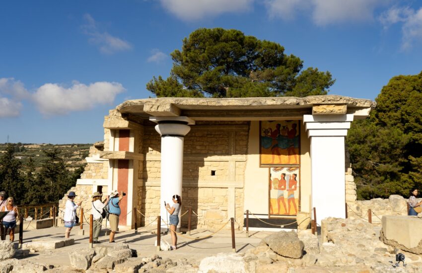 Dsc07042 copy6 (large)