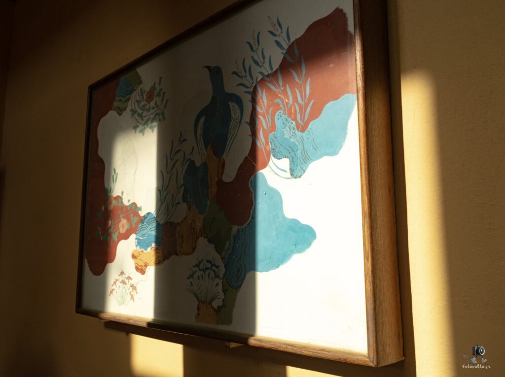 Dsc07064 copy12 (large)