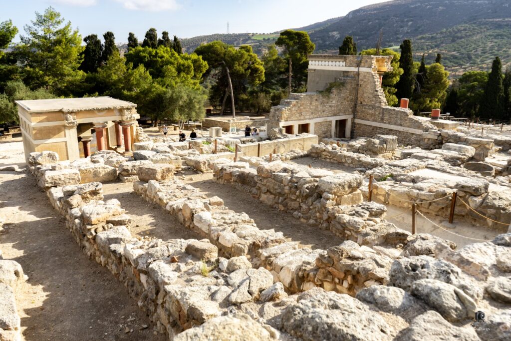 Dsc07065 copy13 (large)