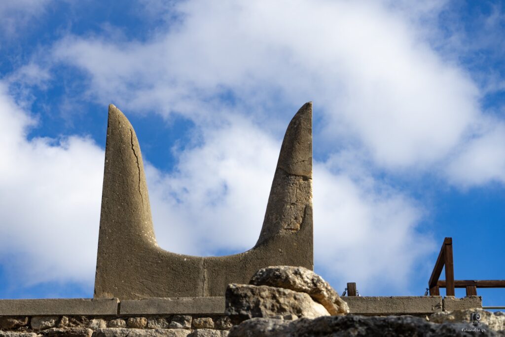 Dsc07073 copy14 (large)