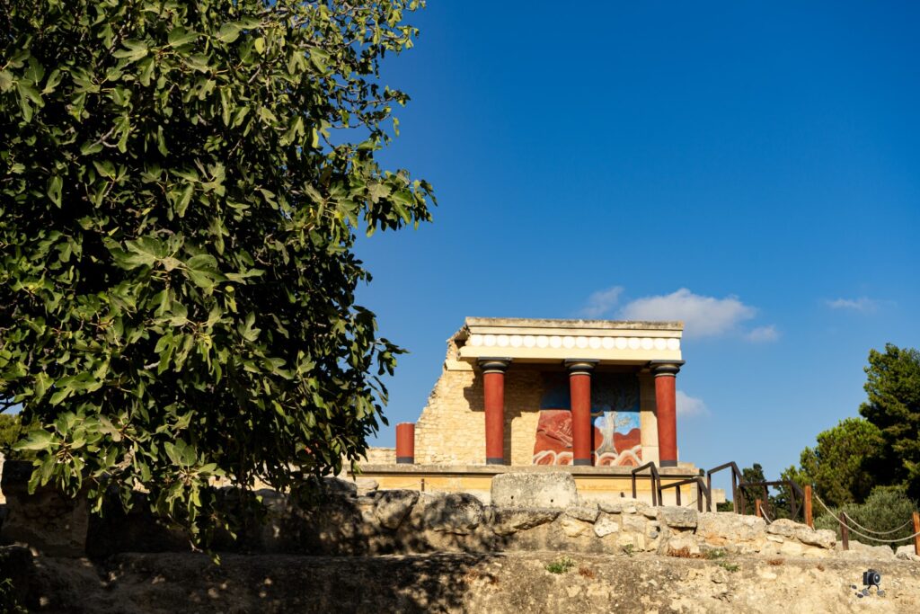 Dsc07087 copy17 (large)