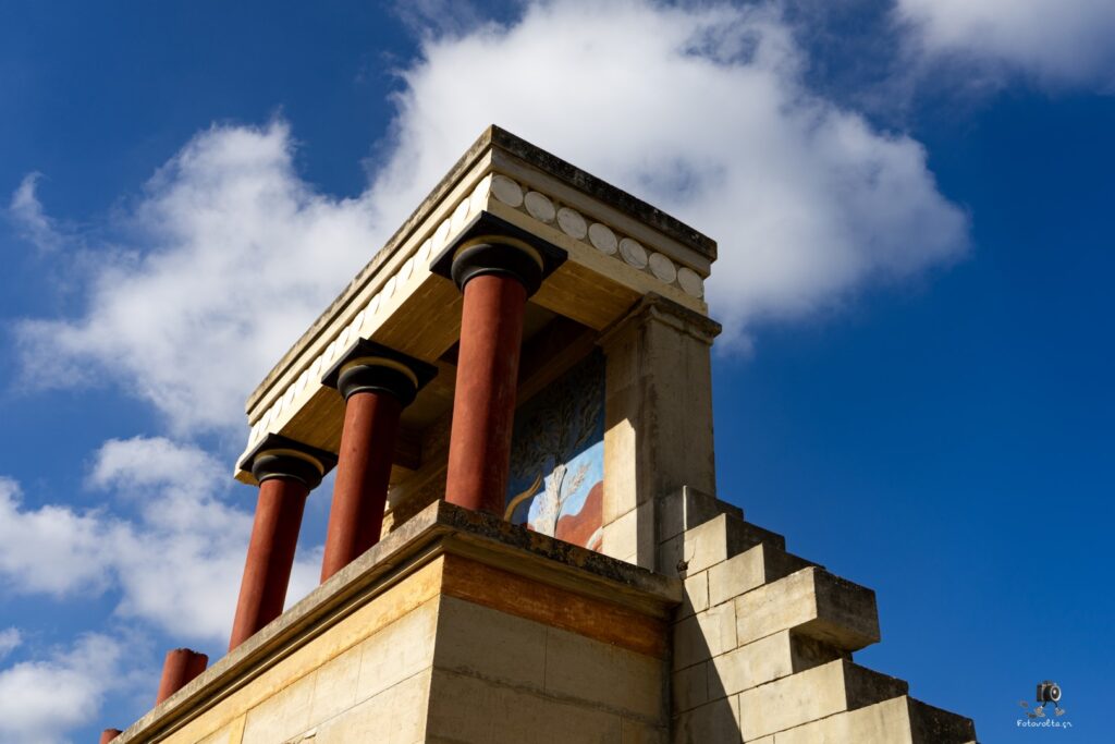 Dsc07093 copy19 (large)