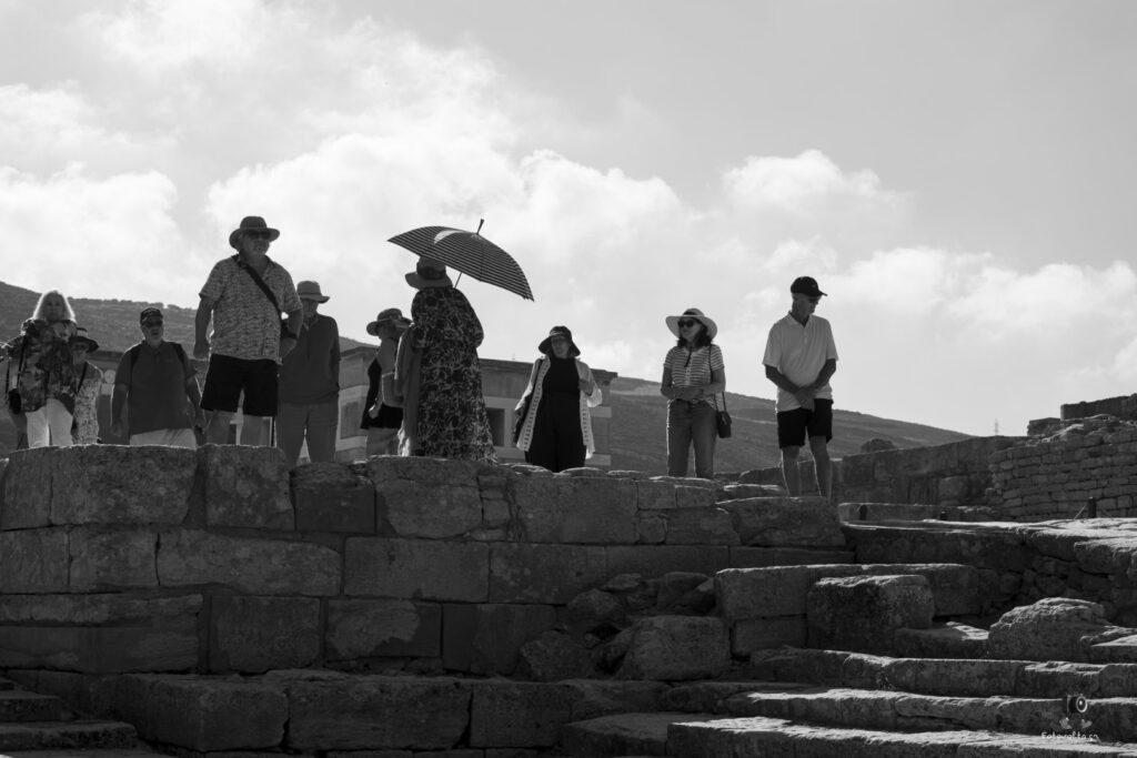 Dsc07105 copy23 (large)