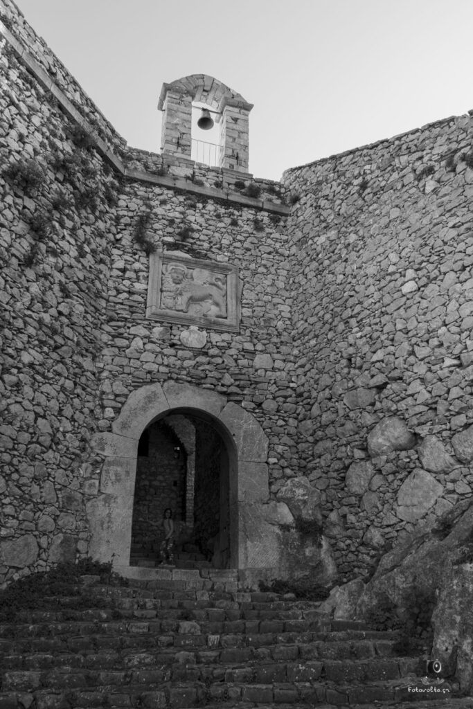 DSC07229 copy1 (Large)