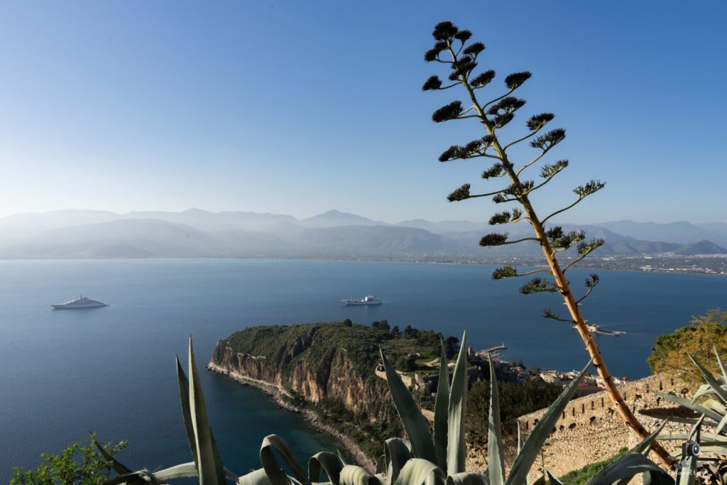 DSC07246 copy6 (Large)