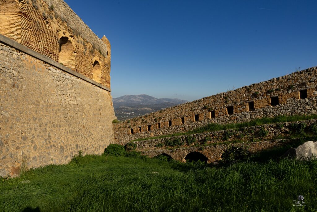 DSC07249 copy7 (Large)