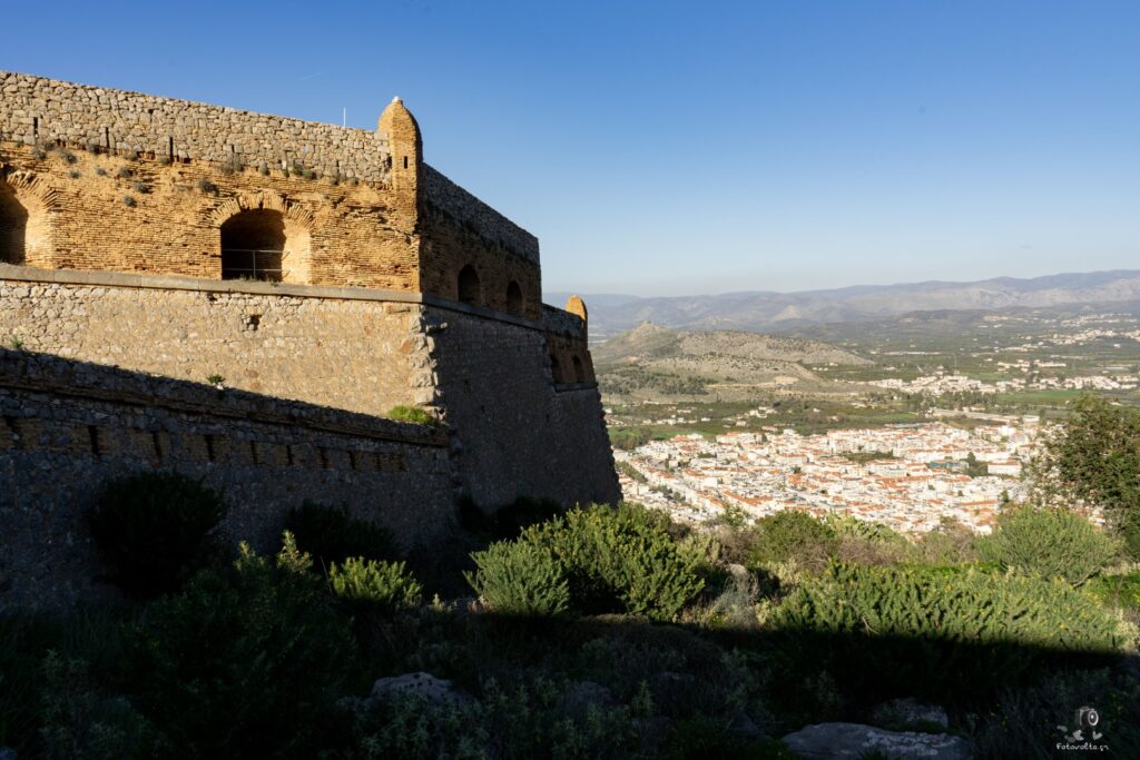 DSC07258 copy9 (Large)