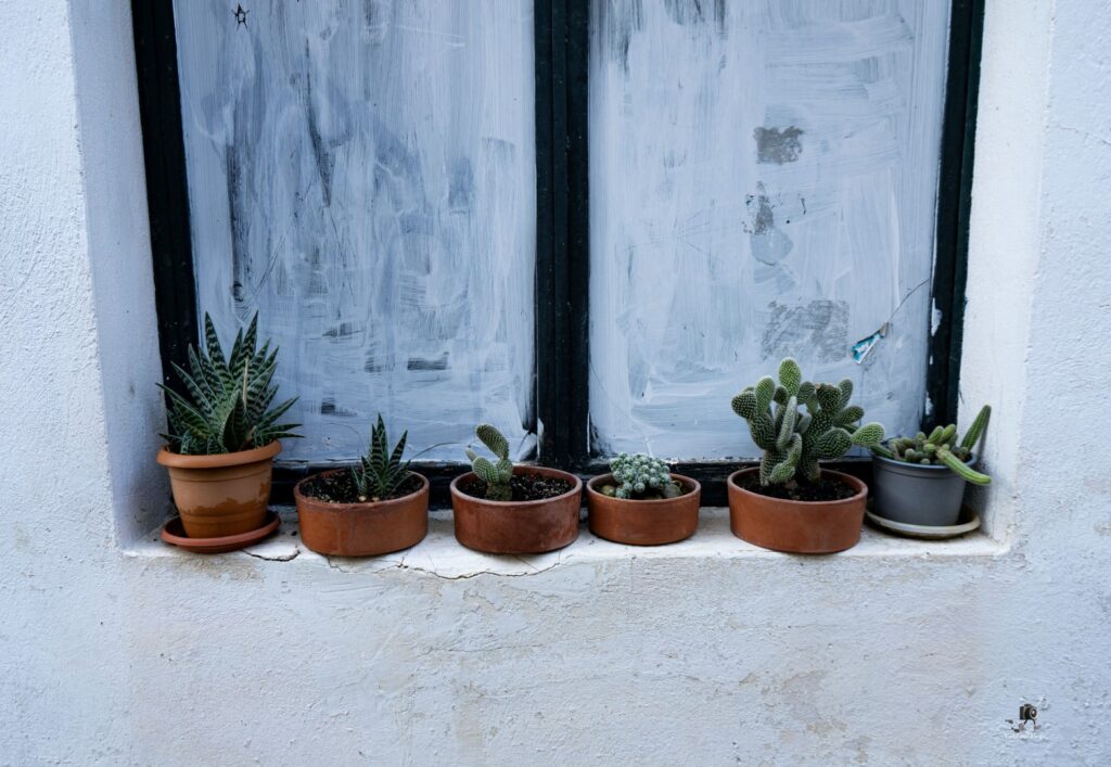 DSC07285 copy19 (Large)