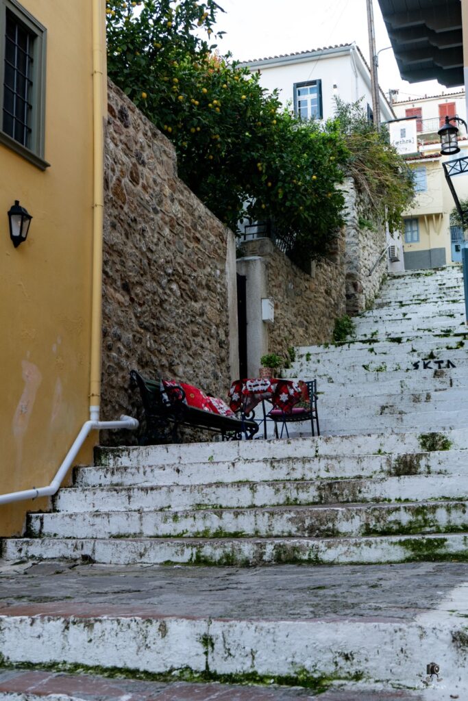 DSC07297 copy25 (Large)