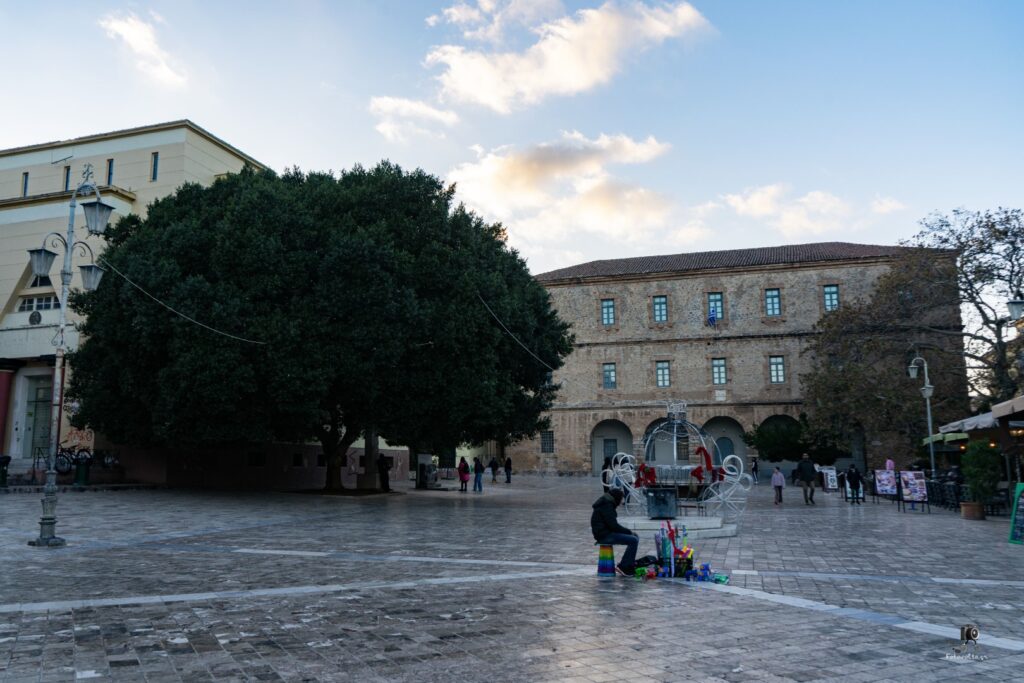 DSC07305 copy 29 (Large)