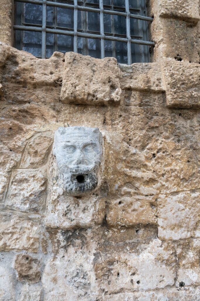 DSC07309 copy31 (Large)