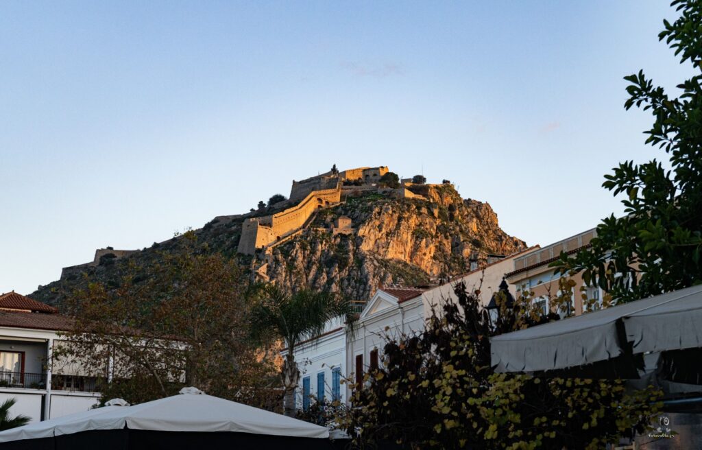 DSC07311 copy32 (Large)