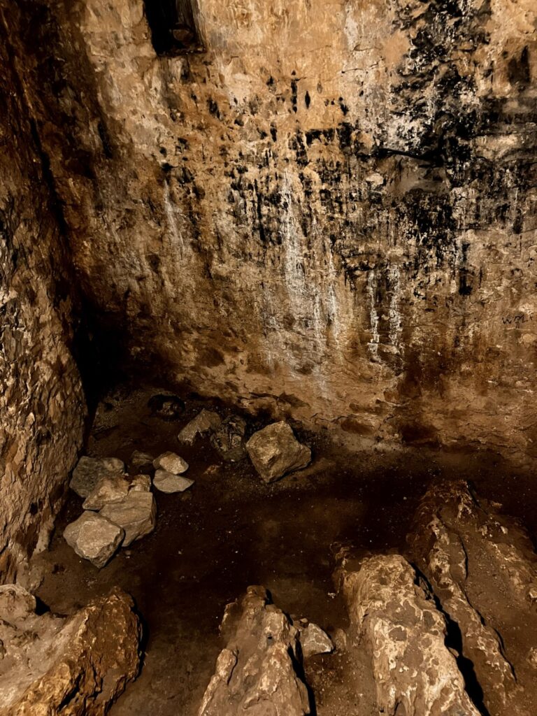 IMG 3540 copy (Large)