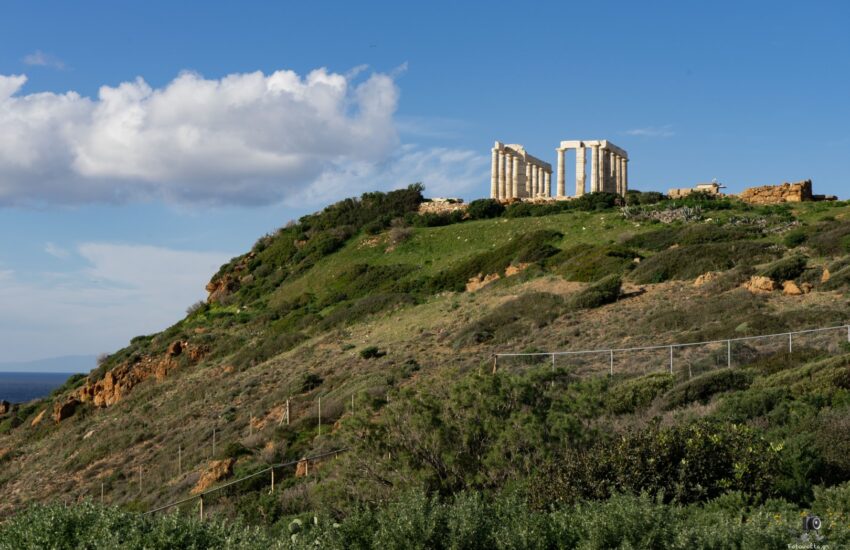 DSC07317 copy1 (Large)