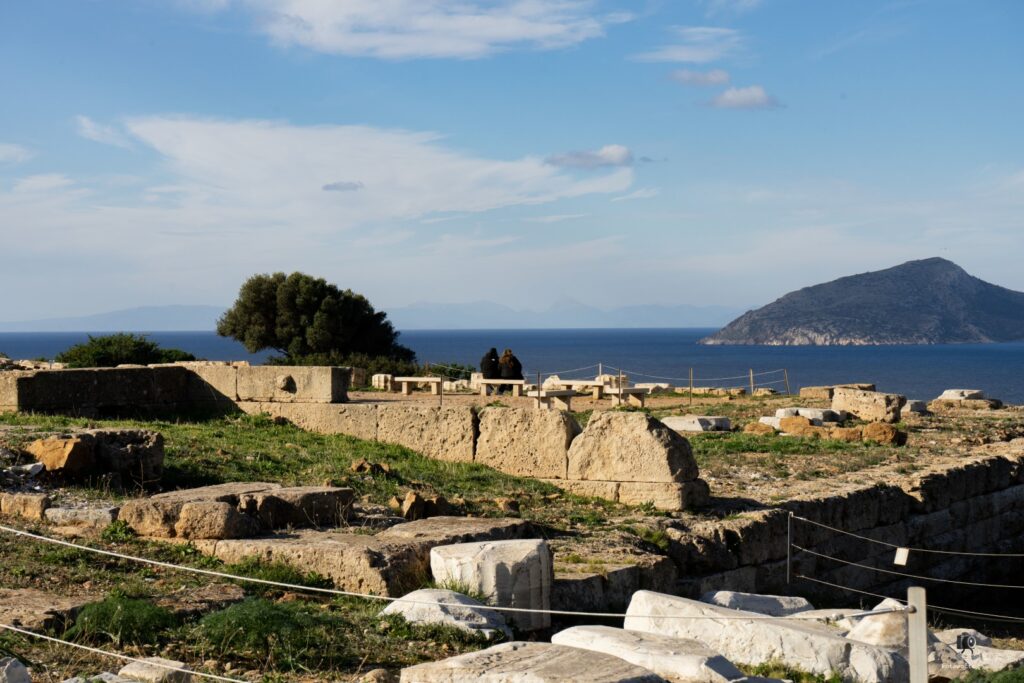 DSC07322 copy4 (Large)