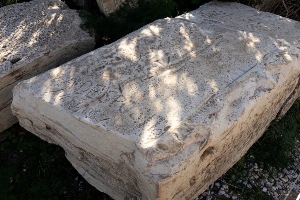 DSC07331 copy9 (Large)