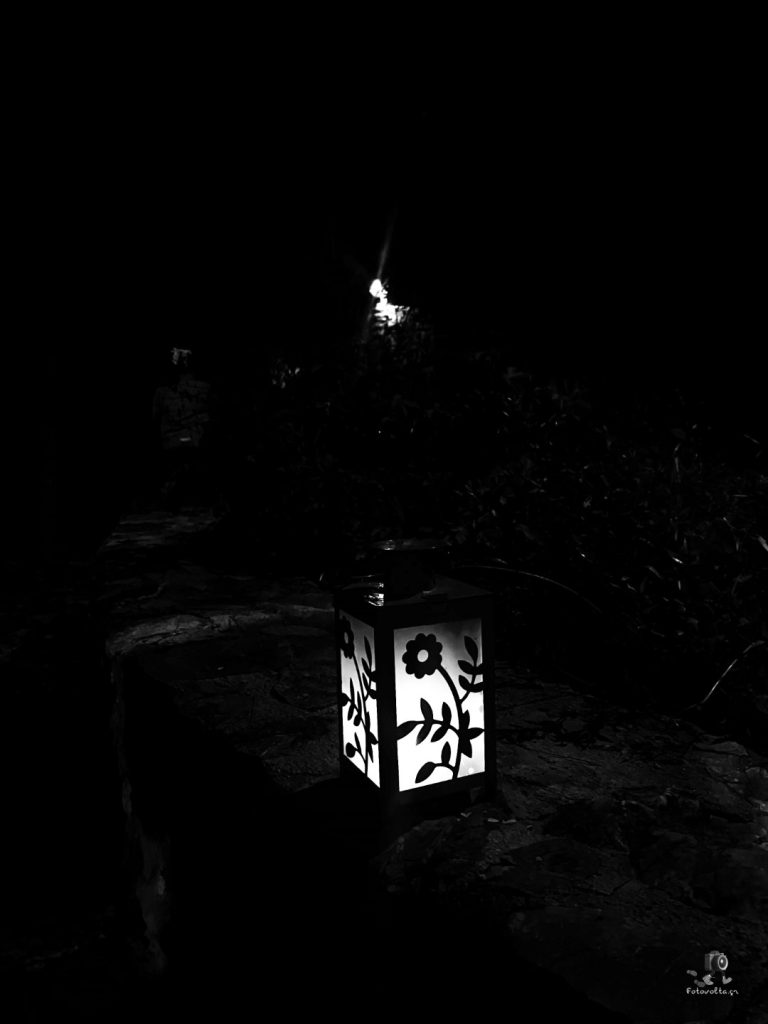 IMG E3919 copy (Large)