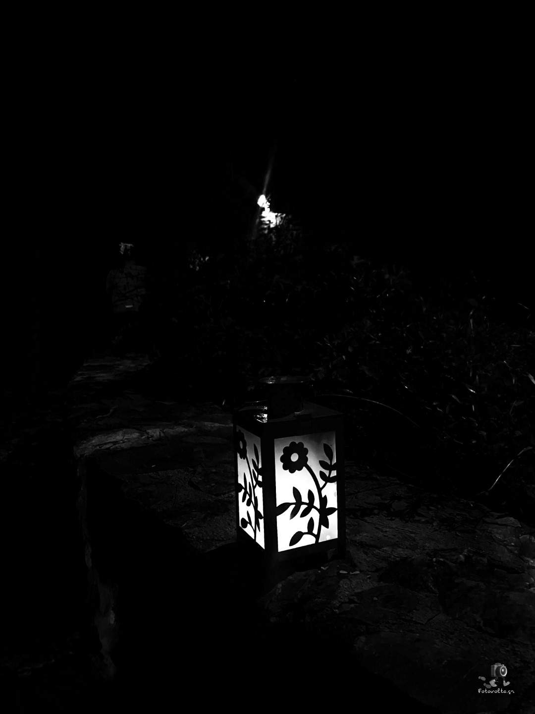 IMG E3919 copy (Large)